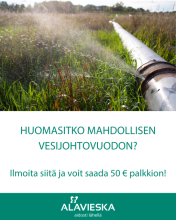 Vesivuoto